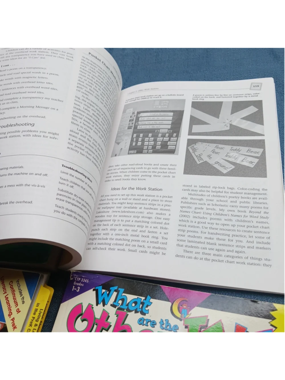Unbranded homeschool teachers